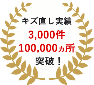 傷直し実績3,000件
      100,000カ所突破！